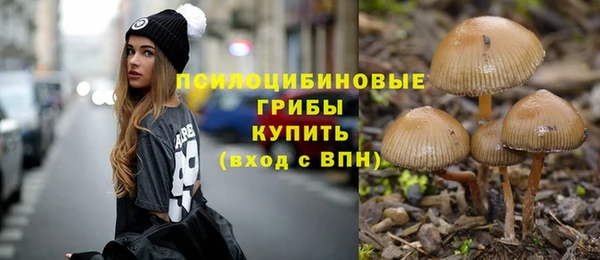 гидропоника Алексеевка