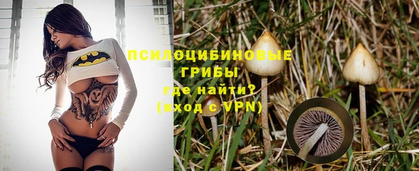 амф Алексин