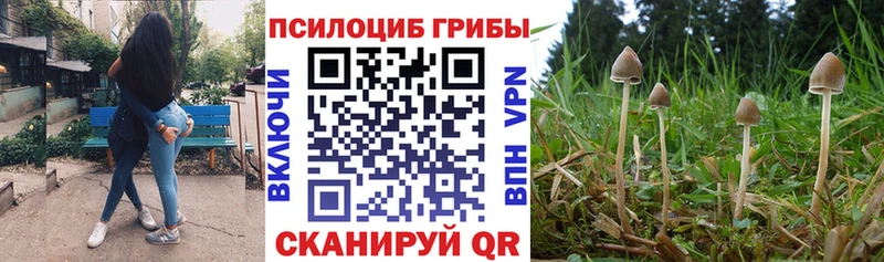 Псилоцибиновые грибы Psilocybe  blacksprut сайт  Муравленко 