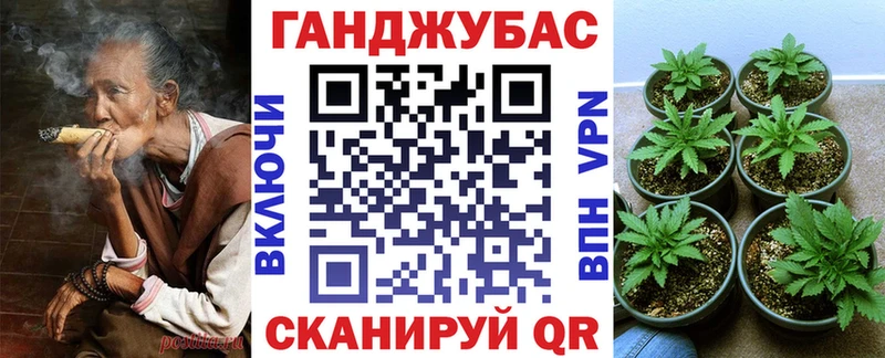 дарнет шоп  Муравленко  Канабис сатива 